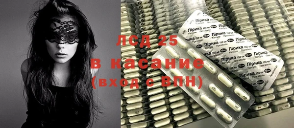 ГАЛЛЮЦИНОГЕННЫЕ ГРИБЫ Белоозёрский