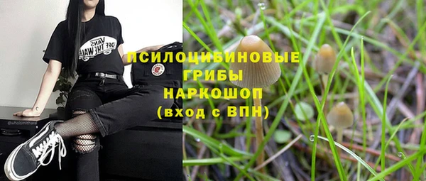 ГАЛЛЮЦИНОГЕННЫЕ ГРИБЫ Белоозёрский