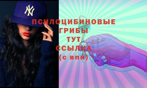 COCAINE Белокуриха