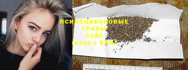 ГАЛЛЮЦИНОГЕННЫЕ ГРИБЫ Белоозёрский