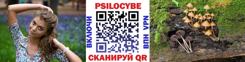 Галлюциногенные грибы GOLDEN TEACHER  Острогожск 