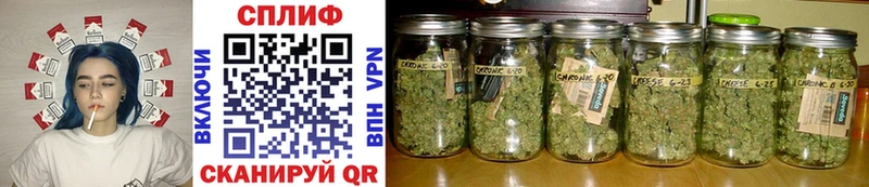 Бошки марихуана THC 21%  наркота  shop наркотические препараты  Острогожск 